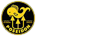 poseidon_t poseidon_t